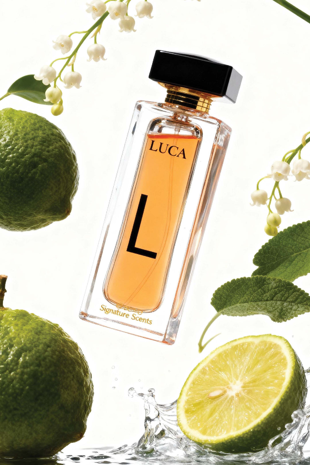 LUCA EDP 65ML