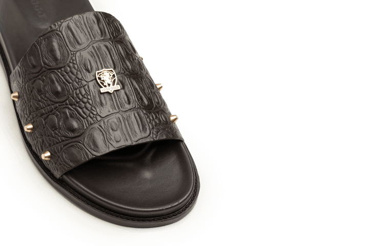 LOGO 7957 BRA - LOGO