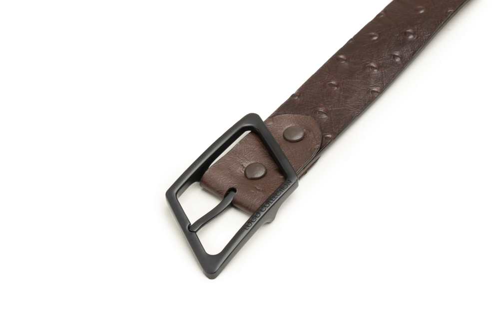 LEATHER BELT A1310 BRA_Accessories