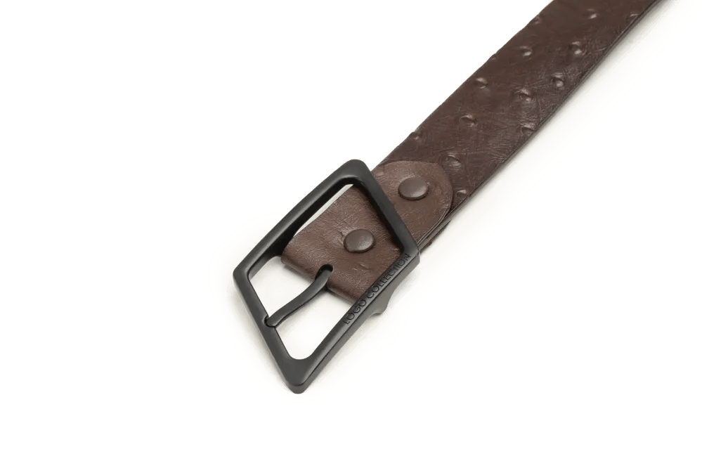 LEATHER BELT A1310 BRA_Accessories