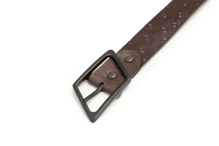 LEATHER BELT A1310 BRA_Accessories