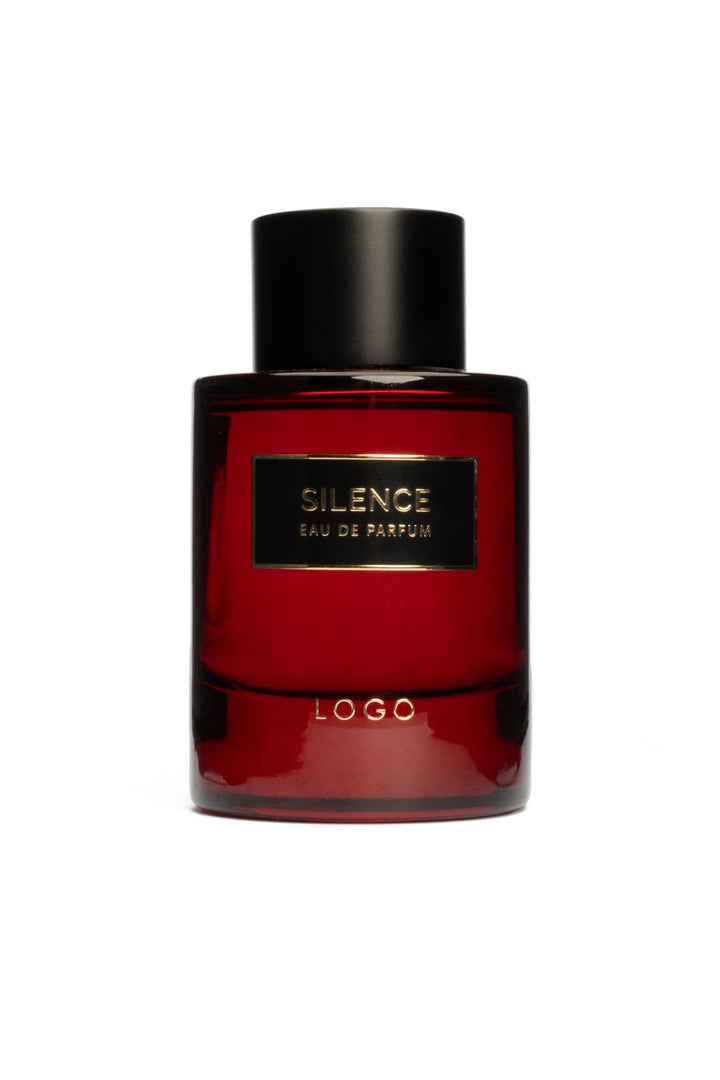 SILENCE 100ML | Perfume For Men